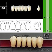 Зубы NEW ACE Anterior, цвет B4, фасон S4L акриловые двухслойные, 6 шт.