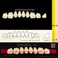 Зубы EFUCERA PX Posteriors, цвет A2, фасон 32, композитные трехслойные боковые верхние, 8 штук на планке.