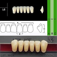 Зубы NEW ACE Anterior, цвет A2, фасон L6 акриловые двухслойные, 6 шт.