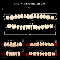Зубы PX CROWN / EFUCERA, цвет D3, фасон O31S/N31S/28, полный гарнитур, 28шт.