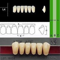 Зубы NEW ACE Anterior, цвет B1, фасон L4 акриловые двухслойные, 6 шт.