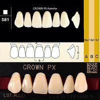 Зубы CROWN PX Anterior, цвет B4, фасон S81 композитные трехслойные, 6 шт.