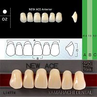 Зубы NEW ACE Anterior, цвет A1, фасон O2 акриловые двухслойные, 6 шт.