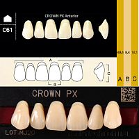 Зубы CROWN PX Anterior, цвет A2, фасон C61 композитные трехслойные, 6 шт.