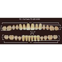 FX зубы акриловые двухслойные, полный гарнитур (28 шт.) на планке, A2, T5/LB5/M30