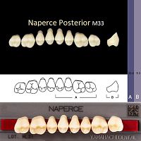 Зубы NAPERCE Posterior, цвет A1, фасон М33, акриловые двухслойные, 8 шт.
