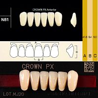 Зубы CROWN PX Anterior, цвет C3 фасон N81 композитные трёхслойные, 6шт.