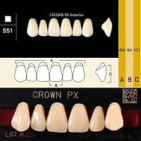 Зубы CROWN PX Anterior, цвет A2, фасон S51 композитные трехслойные, 6 шт.