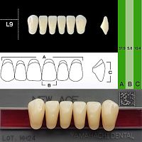 Зубы NEW ACE Anterior, цвет D4, фасон L9 акриловые двухслойные, 6 шт.