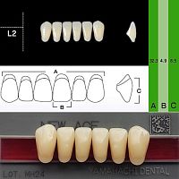 Зубы NEW ACE Anterior, цвет A3, фасон L2 акриловые двухслойные, 6 шт.