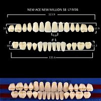Зубы NEW ACE/NEW MILLION, цвет A3.5, фасон S8/L7/M36, полный гарнитур, 28шт.