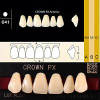 Зубы CROWN PX Anterior, цвет D4, фасон O41 композитные трехслойные, 6 шт.