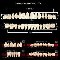 Зубы PX CROWN / EFUCERA, цвет C4, фасон S81/N81/36, полный гарнитур, 28шт.