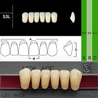 Зубы NEW ACE Anterior, цвет C4, фасон S3L акриловые двухслойные, 6 шт.