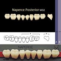 Зубы NAPERCE Posterior, цвет B2, фасон М32 акриловые двухслойные, 8 шт.