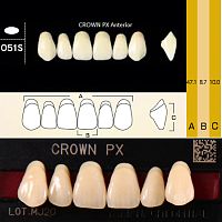 Зубы CROWN PX Anterior, цвет B1, фасон O51S композитные трехслойные, 6 шт.
