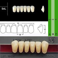 Зубы NEW ACE Anterior, цвет A4, фасон S4L акриловые двухслойные, 6 шт.