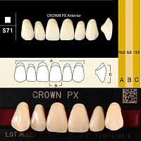 Зубы CROWN PX Anterior, цвет B2, фасон S71 композитные трехслойные, 6 шт.