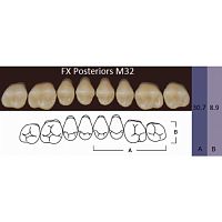 FX Posteriors - Зубы акриловые двухслойные, боковые верхние, цвет B1, фасон М32, 8 шт