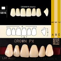 Зубы CROWN PX Anterior, цвет B1, фасон S44S композитные трехслойные, 6 шт.