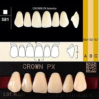 Зубы CROWN PX Anterior, цвет A1, фасон S81 композитные трехслойные, 6 шт.