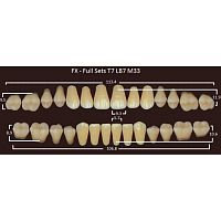 FX зубы акриловые двухслойные, полный гарнитур (28 шт.) на планке, A2, T7/LB7/M33
