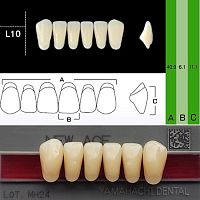 Зубы NEW ACE Anterior, цвет W05, фасон L10 акриловые двухслойные, 6 шт.