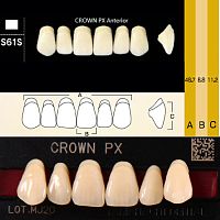 Зубы CROWN PX Anterior, цвет A1, фасон S61S композитные трехслойные, 6 шт.