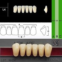 Зубы NEW ACE Anterior, цвет A3.5, фасон L4 акриловые двухслойные, 6 шт.