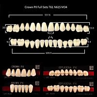 Зубы PX CROWN / EFUCERA, цвет D4, фасон T61/N61S/34, полный гарнитур, 28шт.