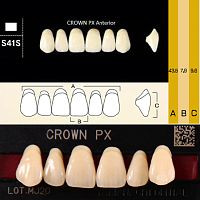 Зубы CROWN PX Anterior, цвет C1, фасон S41S композитные трехслойные, 6 шт.