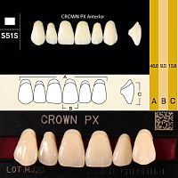 Зубы CROWN PX Anterior, цвет D3, фасон S51S композитные трехслойные, 6 шт.