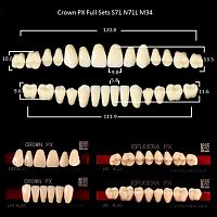 Зубы PX CROWN / EFUCERA, цвет B2, фасон S71/N71L/34, полный гарнитур, 28шт.
