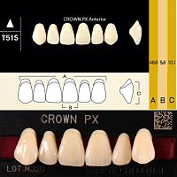 Зубы CROWN PX Anterior, цвет B1, фасон T51S композитные трехслойные, 6 шт.