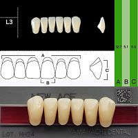 Зубы NEW ACE Anterior, цвет A4, фасон L3 акриловые двухслойные, 6 шт.