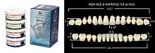 Зубы в боксах New Ace / Million, цвет B2 фасон TL4/L6/M33, 20 полных гарнитуров.