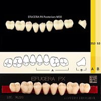 Зубы EFUCERA PX Posteriors, цвет D4, фасон 30, композитные трехслойные боковые нижние, 8 штук на планке.