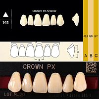 Зубы CROWN PX Anterior, цвет A1, фасон T41 композитные трехслойные, 6 шт.