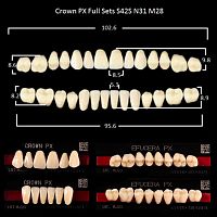 Зубы PX CROWN / EFUCERA, цвет D2, фасон S42S/N31/28, полный гарнитур, 28шт.