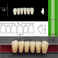 Зубы NEW ACE Anterior, цвет A1, фасон L3 акриловые двухслойные, 6 шт.