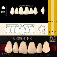 Зубы CROWN PX Anterior, цвет B3, фасон C51 композитные трехслойные, 6 шт.