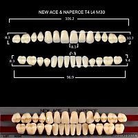 Зубы GLORIA, цвет C3, фасон T4 М30, акриловые двухслойные, полный гарнитур, 28 шт.