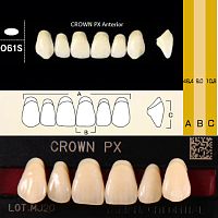 Зубы CROWN PX Anterior, цвет A3, фасон O61S композитные трехслойные, 6 шт.