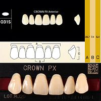 Зубы CROWN PX Anterior, цвет W05, фасон O31S композитные трехслойные, 6 шт.