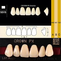 Зубы CROWN PX Anterior, цвет D4, фасон S51S композитные трехслойные, 6 шт.