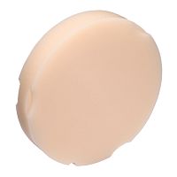 Диск Re-Fine Acrylic A1 95х22мм, для Zirkonzahn- PMMA CAM/CAM