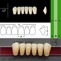 Зубы NEW ACE Anterior, цвет D2, фасон L7 акриловые двухслойные, 6 шт.