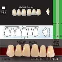 Зубы NEW ACE Anterior, цвет B3, фасон SS3 акриловые двухслойные, 6 шт.