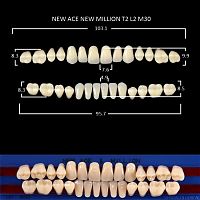 Зубы NEW ACE/NEW MILLION, цвет W05, фасон T2/L2/M30, полный гарнитур, 28шт.