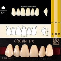 Зубы CROWN PX Anterior, цвет B1, фасон C41 композитные трехслойные, 6 шт.